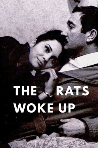 The Rats Woke Up movie poster