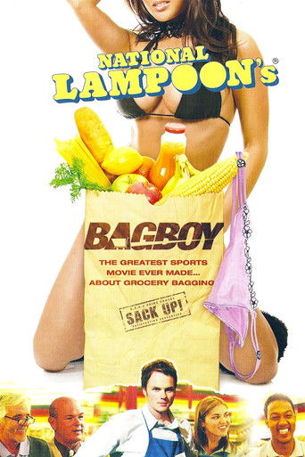Bagboy movie poster