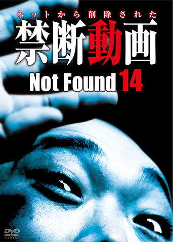 Not Found 14 movie poster