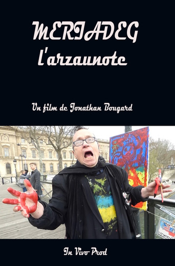 Mériadeg the arzaunote movie poster