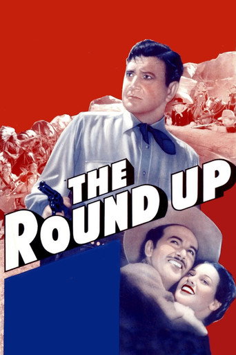 The Roundup movie poster