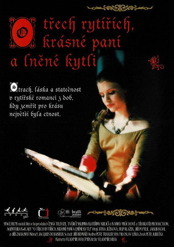 O třech rytířích, krásné paní a lněné kytli movie poster