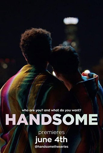 Handsome movie poster