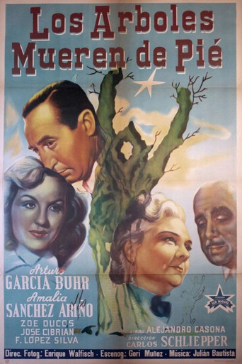 Trees Die Standing movie poster