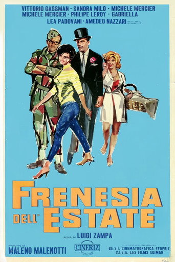 Summer Frenzy movie poster