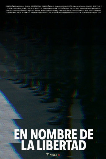 In the Name of Liberty movie poster