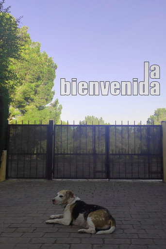 La bienvenida movie poster