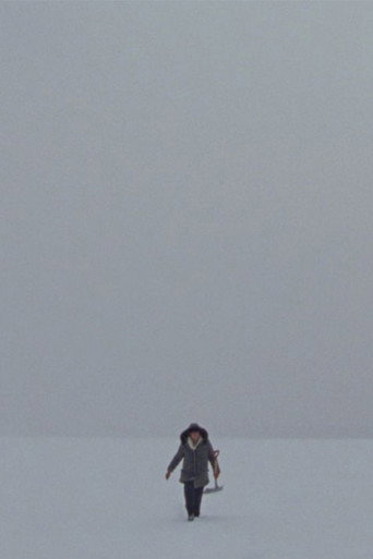 Lake movie poster