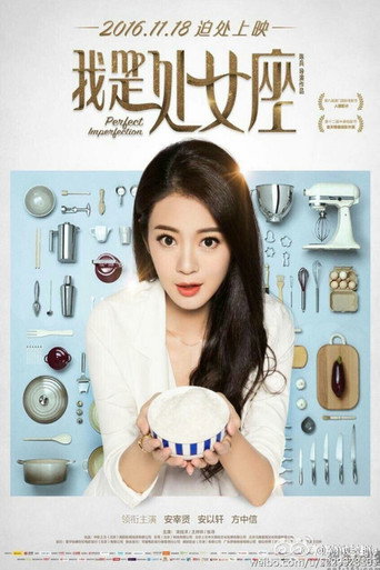 Perfect Imperfection movie poster
