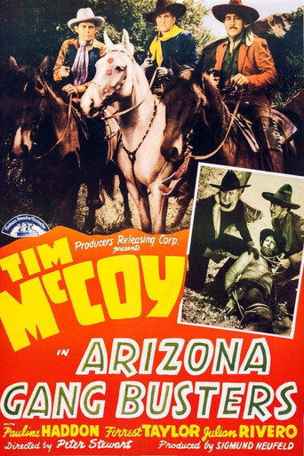 Arizona Gang Busters movie poster