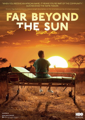 Far Beyond the Sun movie poster