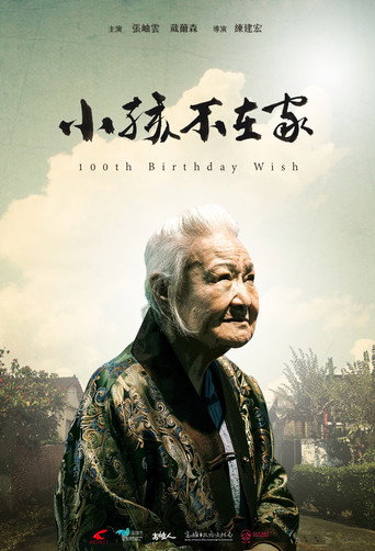 100th Birthday Wish movie poster