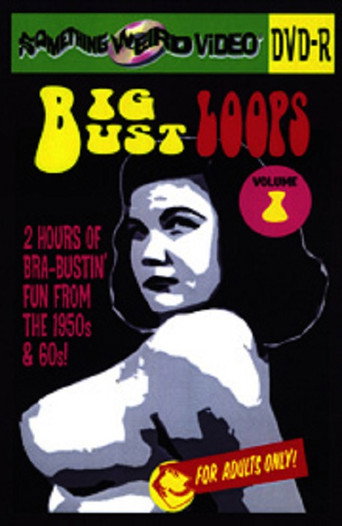 Big Bust Loops  Volume 1 movie poster