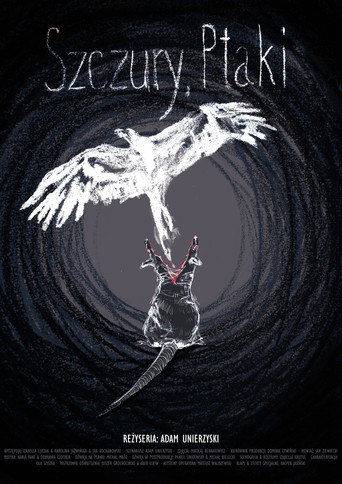 Szczury, ptaki movie poster