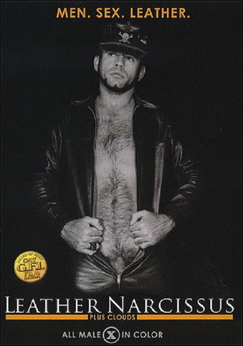 Leather Narcissus movie poster