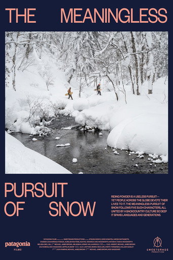 The Meaningless Pursuit of Snow movie poster