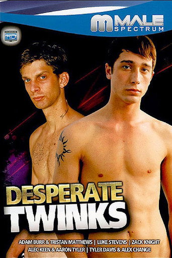 Desperate Twinks movie poster