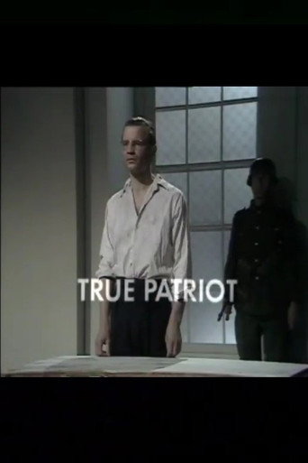 True Patriot movie poster