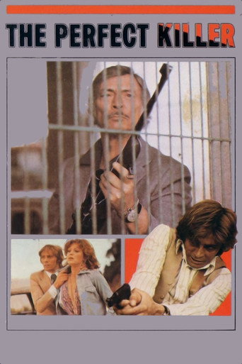The Perfect Killer movie poster