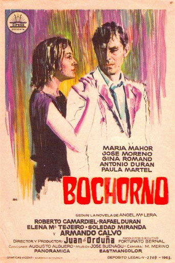 Bochorno movie poster