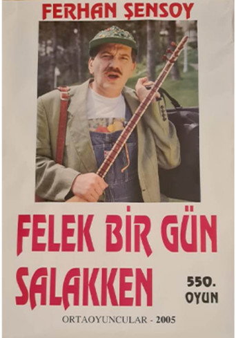Felek Bir Gün Salakken movie poster