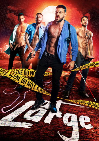 At Large movie poster