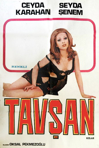 Rabbit Girls movie poster