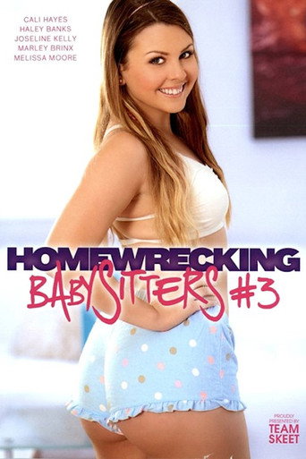 Homewrecking Babysitters 3 movie poster