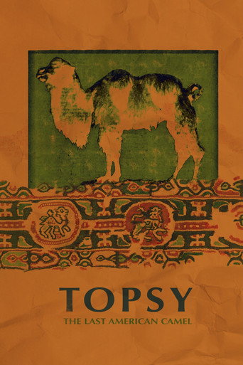 Topsy: The Last American Camel movie poster