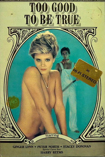 Too Good to Be True movie poster