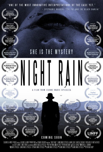 Night Rain movie poster