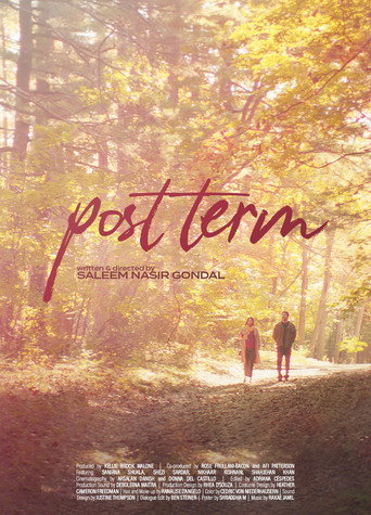 Post Term movie poster
