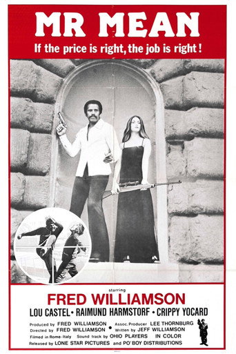 Mr. Mean movie poster