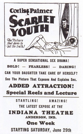 Scarlet Youth movie poster