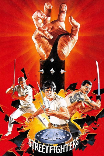 Los Angeles Streetfighter movie poster