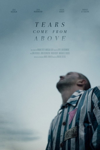 Tears Come from Above movie poster