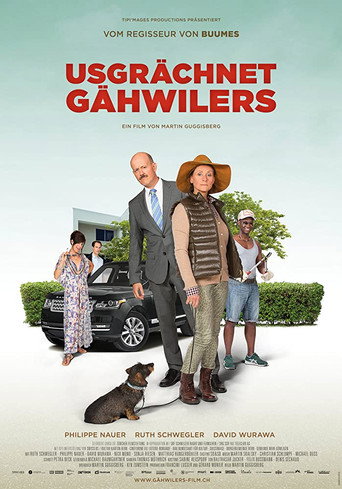 Meet The Gähwilers movie poster