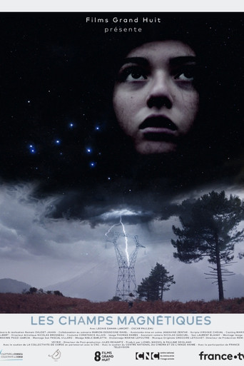 Magnetic Fields movie poster