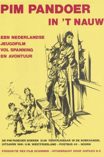 Pim Pandoer in het Nauw movie poster