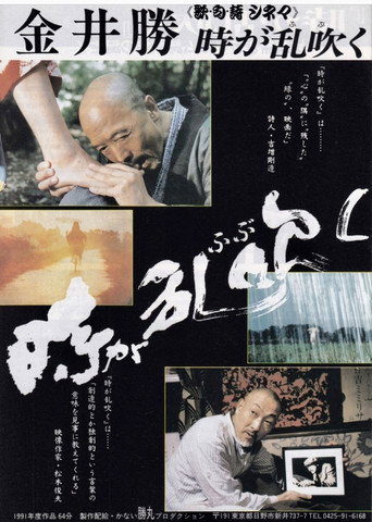 The Stormy Times movie poster