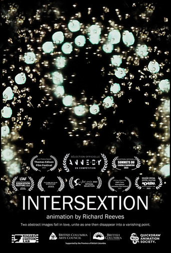 Intersextion movie poster