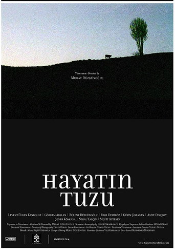 Hayatın Tuzu movie poster