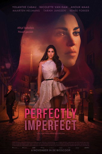 Perfectly Imperfect movie poster