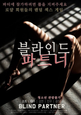 Blind Partner movie poster