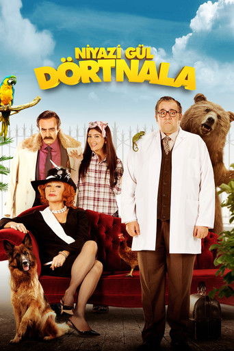 Niyazi Gül Dörtnala movie poster