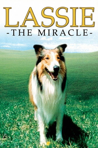 Lassie: The Miracle movie poster