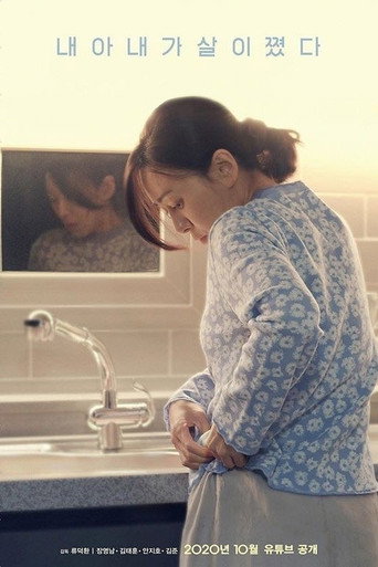 My Wife has Gained Weight movie poster