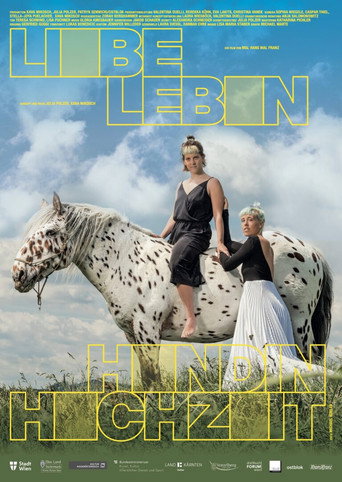 We Want More in the Land of Unicorns movie poster