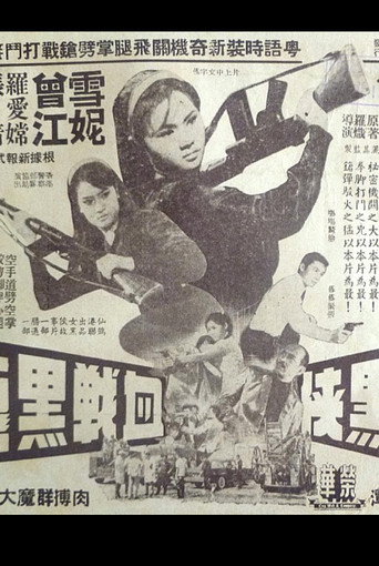 The Woman in Black and the Black Dragon movie poster