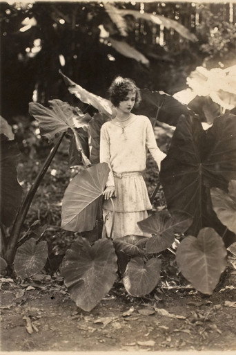 Na Primavera da Vida movie poster